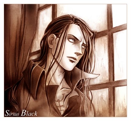 Sirius Black 